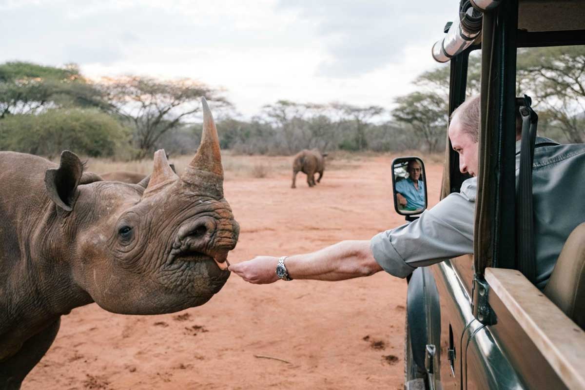 Manyara, Ngorongoro, Tarangire
