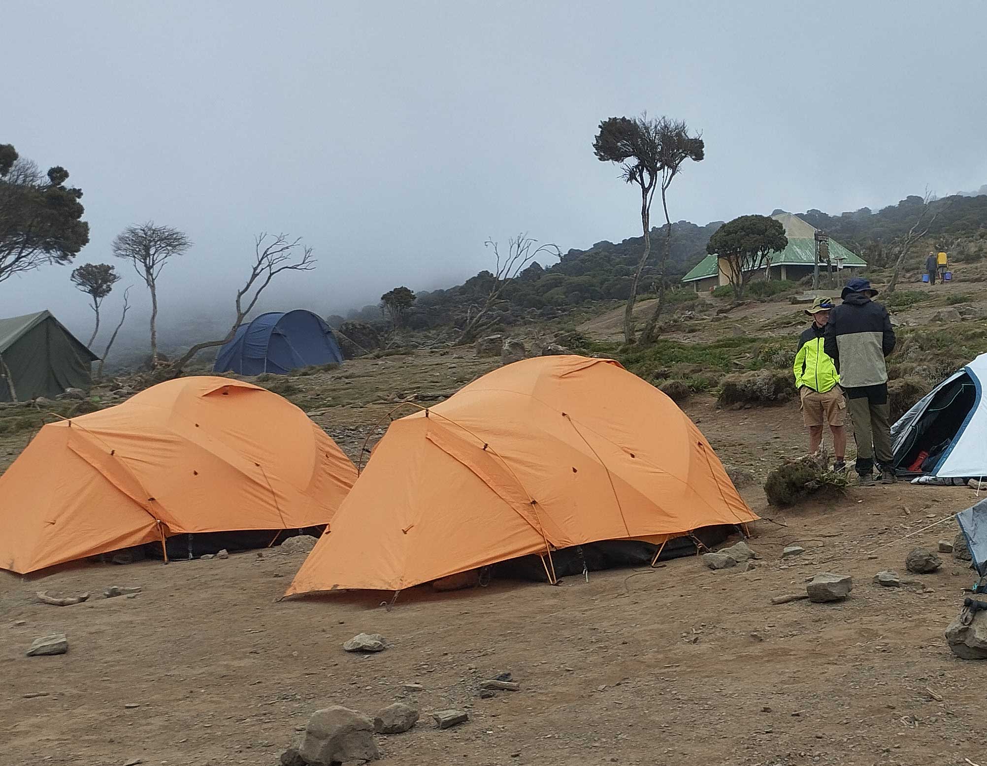 8 Days Lemosho Route